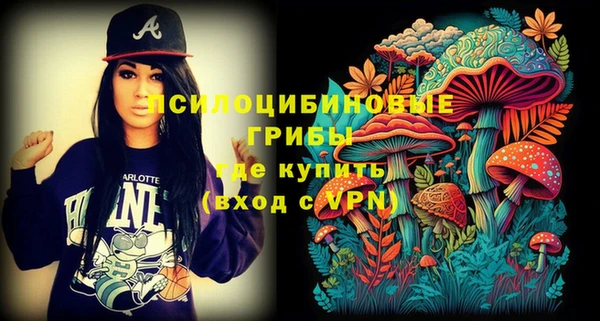 стафф Абдулино