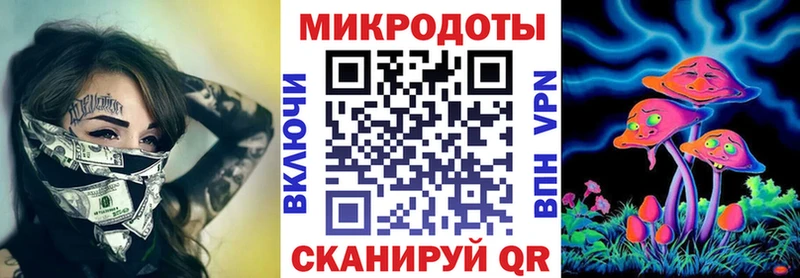 Псилоцибиновые грибы Psilocybe  Анадырь 
